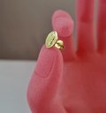 arete_virgen_de_guadalupe_39082_11.jpg